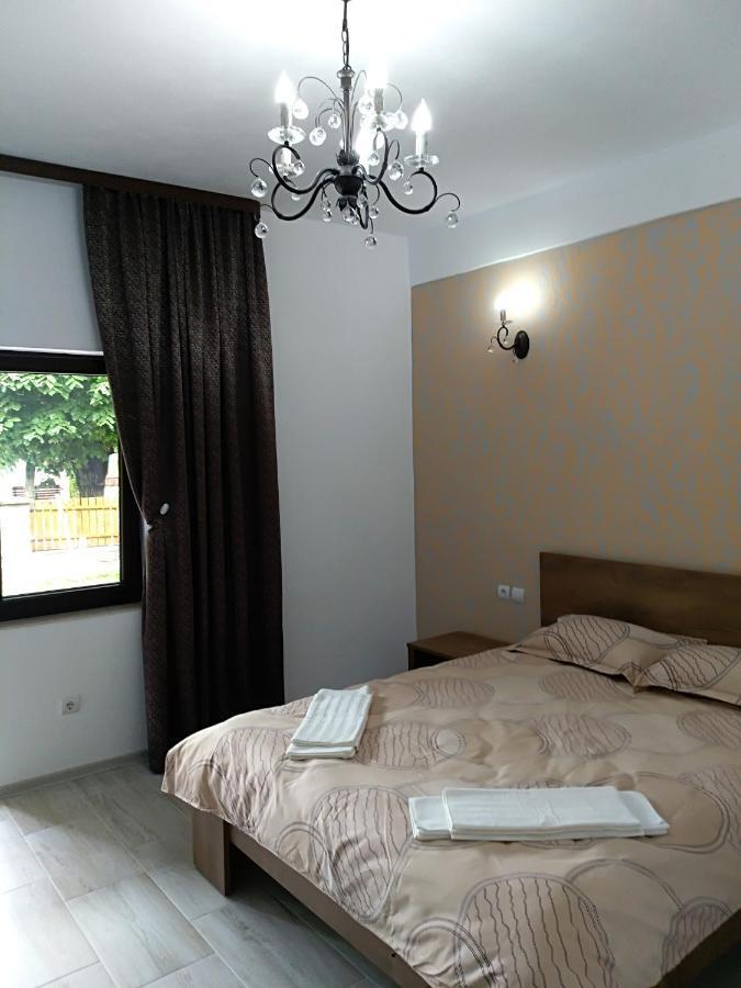 Casa Roka Apartment Ieşelniţa Bagian luar foto